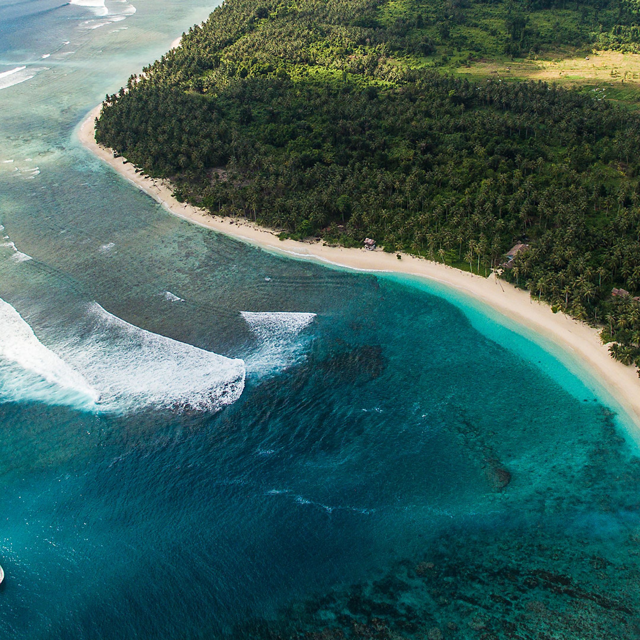 Alana Blanchard: In Pursuit of New Experiences