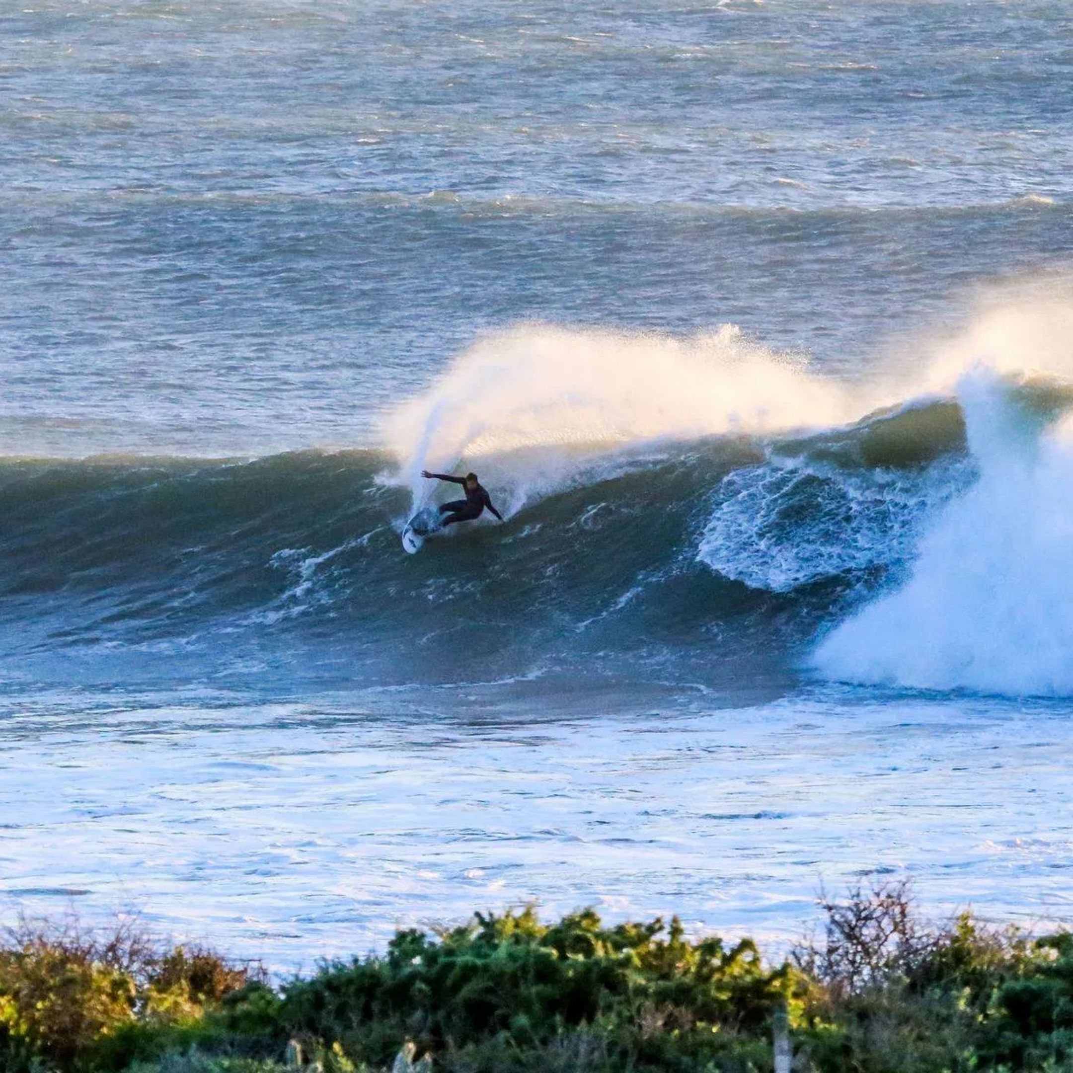 Exploring the Mysteries of Sea Swell Waves